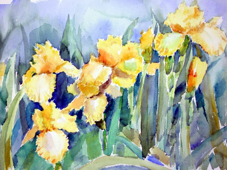 Yellow Irises (4249 visits) Yellow Irises watercolor Yellow Irises