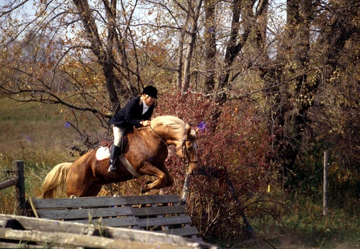 BRV 2001 Fox Hunting in LLH,zc (644 bisita) BRV 2001 Fox Hunting in LLH,zc