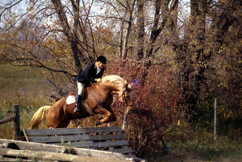 BRV 2001 Fox Hunting in LLH,zc.jpg