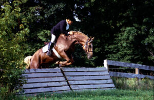 Bob in Long Lake Hounds ca 1985